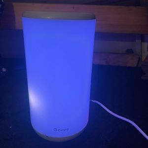 Govee colored light